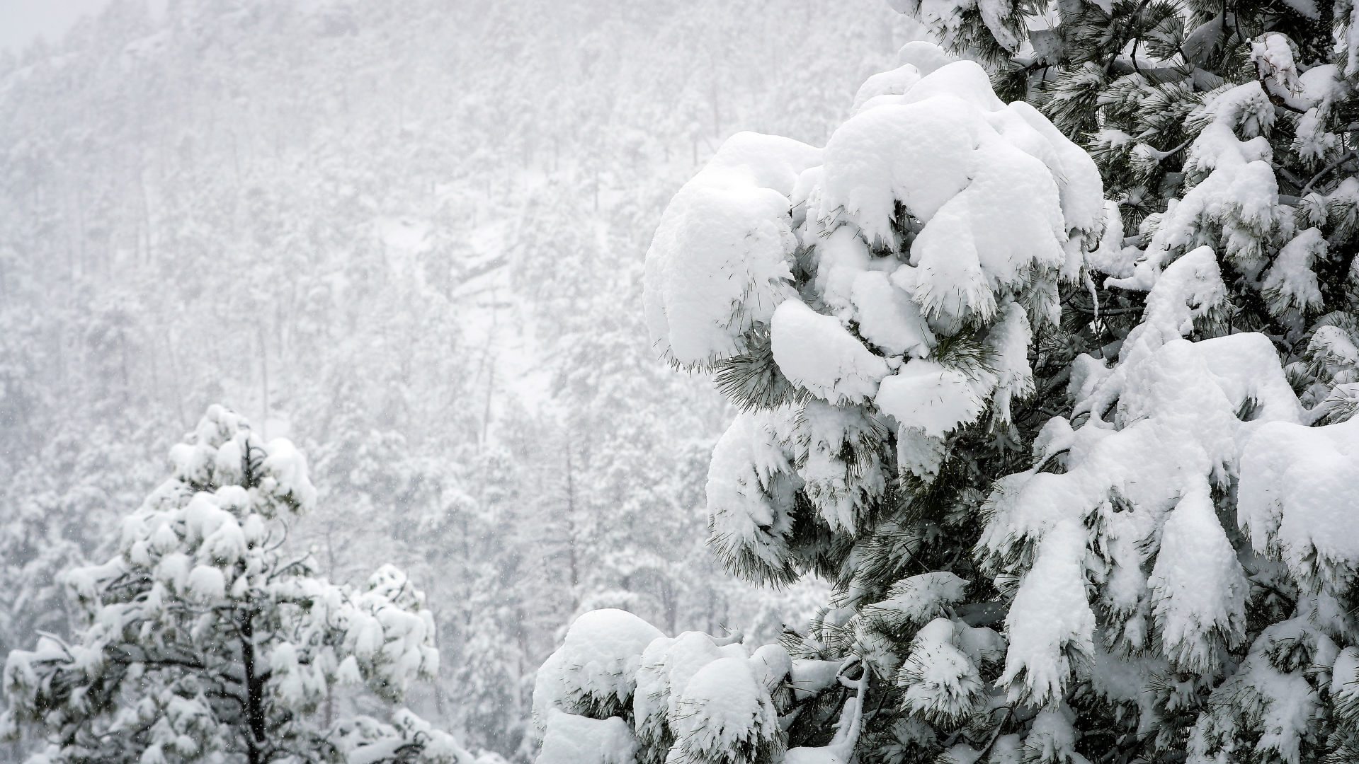 May Snowstorm